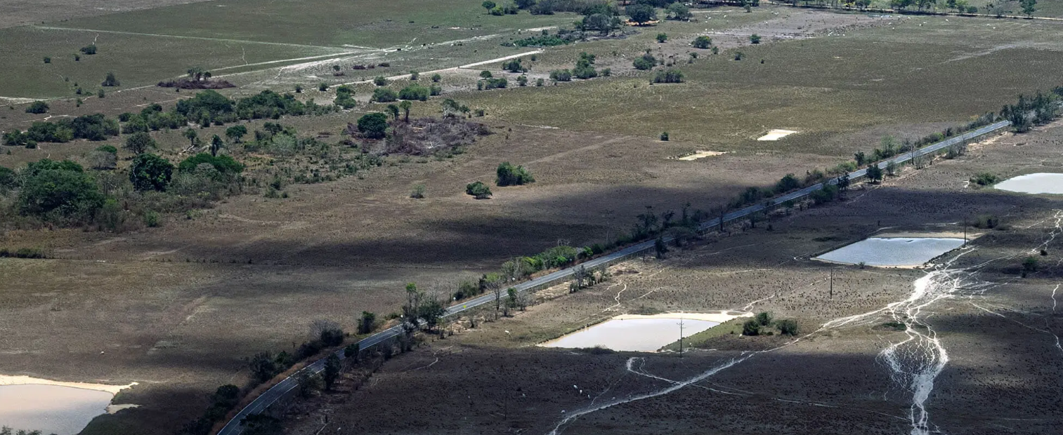 Organizaciones sociales generan espacios para combatir la deforestación en la Amazonía colombiana