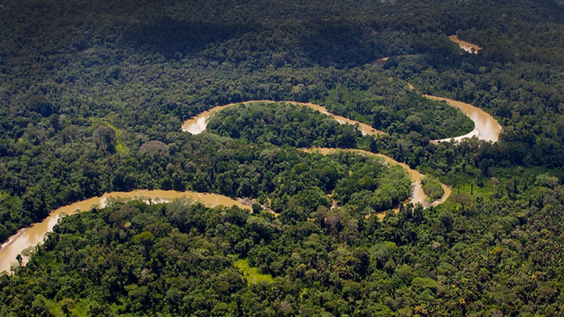 Voces de la Panamazonía 30 de mayo de 2024