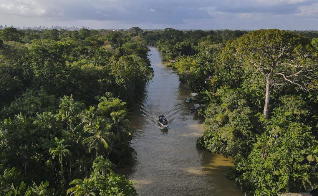 Proyecto reúne a cuatro países de la región para proteger la Amazonía