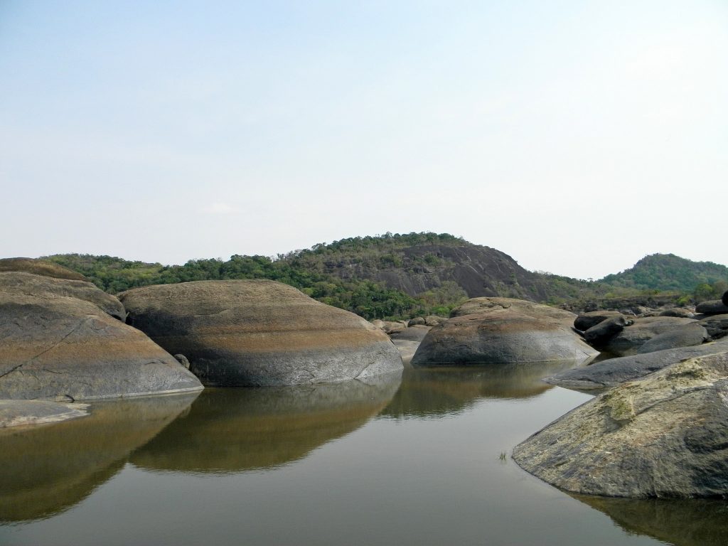 Voces de la Panamazonía 25 de julio 2024