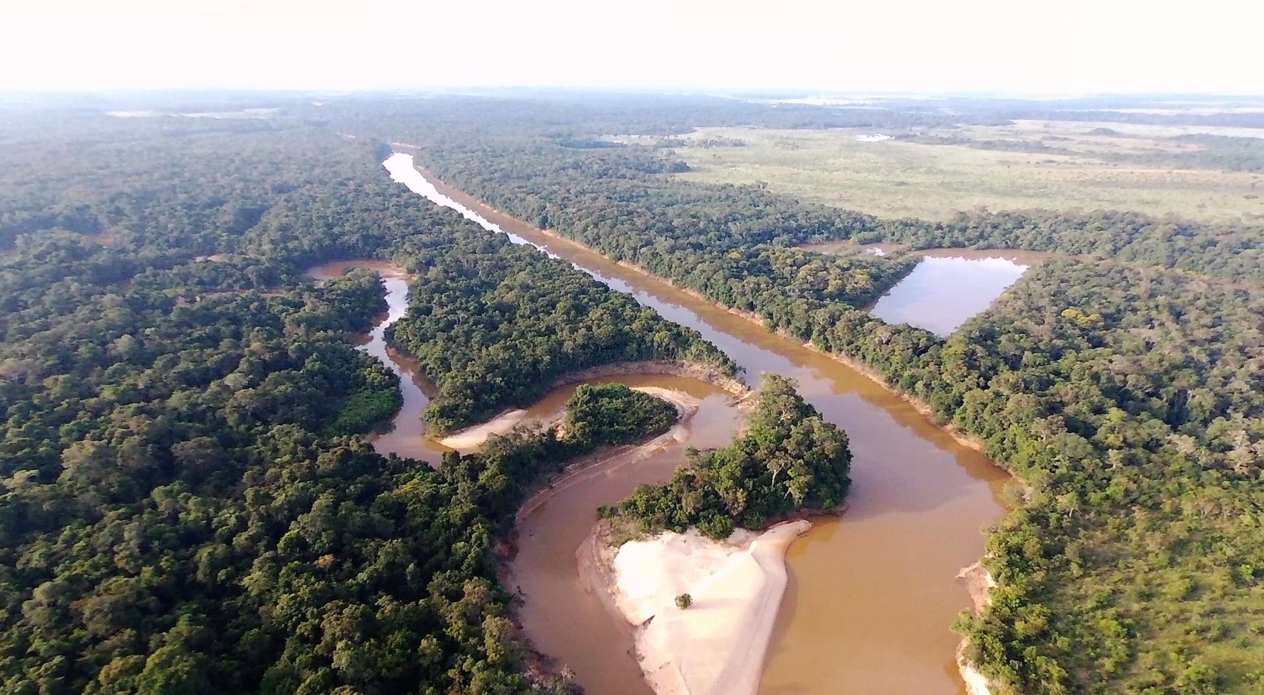 Voces de la Panamazonía 18 de julio 2024