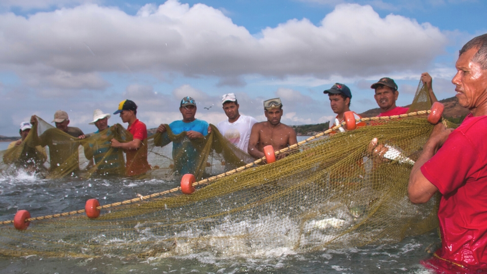 Inicia la temporada de pesca artesanal en el Río Orinoco