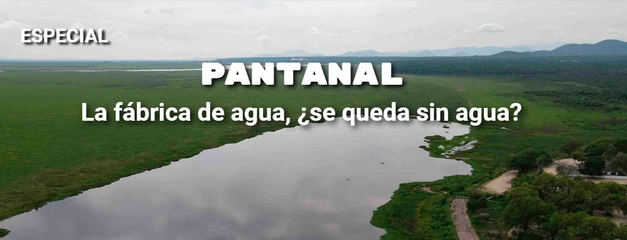 El Pantanal, un área biodiversa que comparten tres países y está en constante amenaza