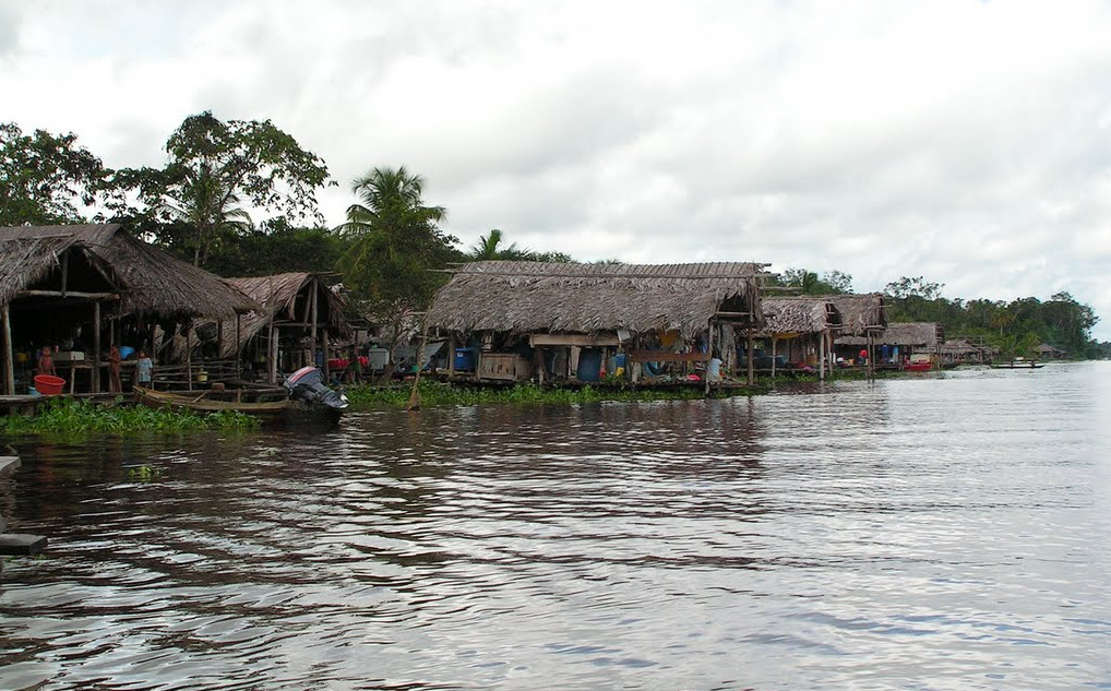 Voces de la Panamazonía 29 de agosto de 2024