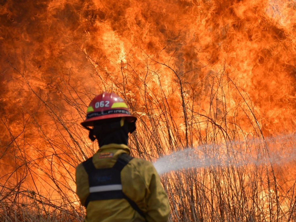 Comunidades afectadas por incendios forestales en Bolivia requieren apoyo para recuperar sus cultivos