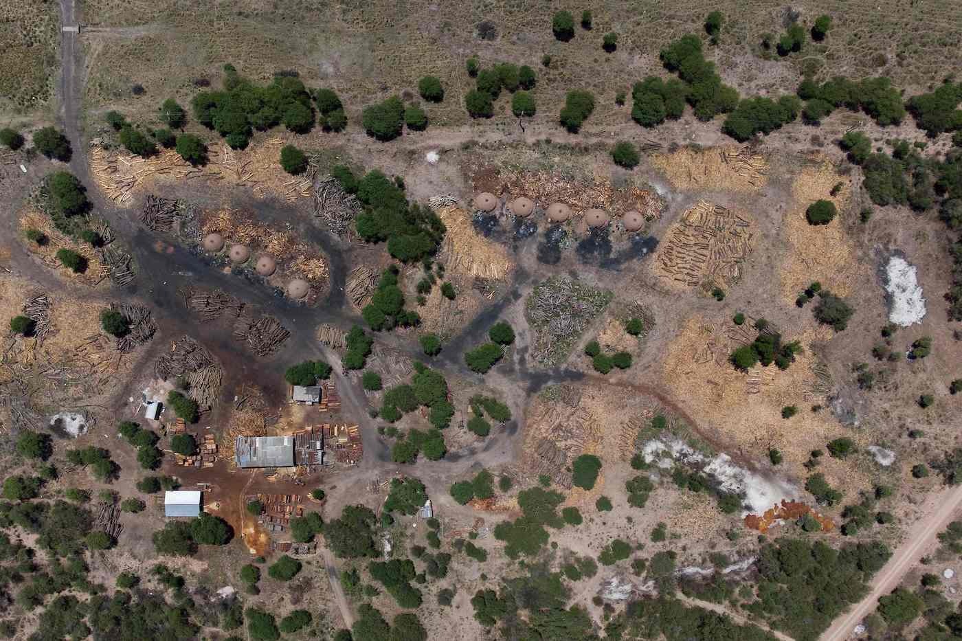 Deforestación en el Gran Chaco boliviano