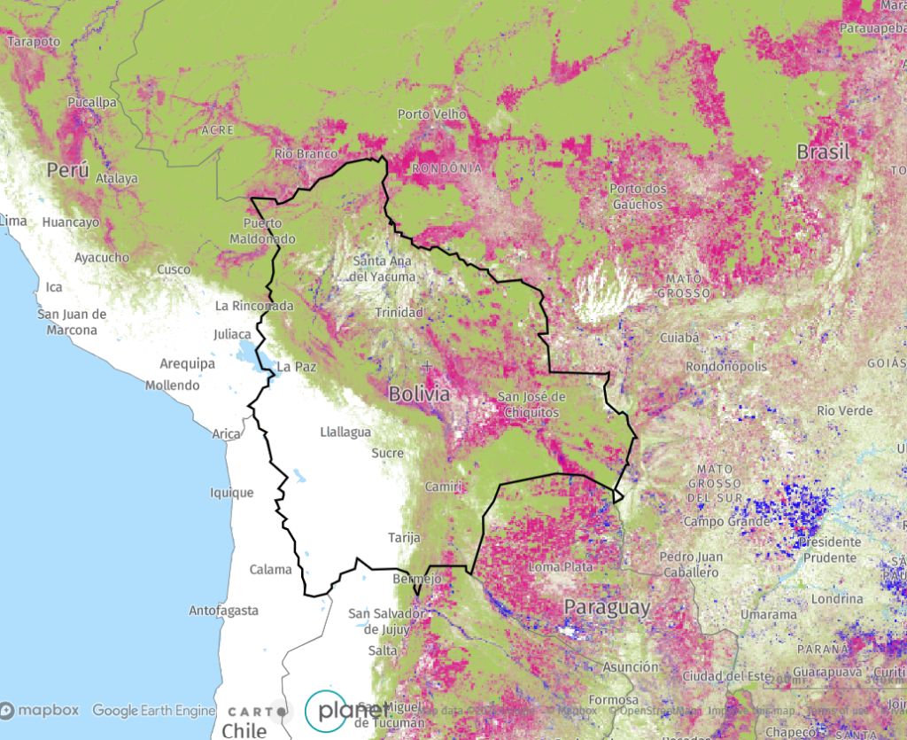 Bolivia es el tercer país con mayor tasa de deforestación