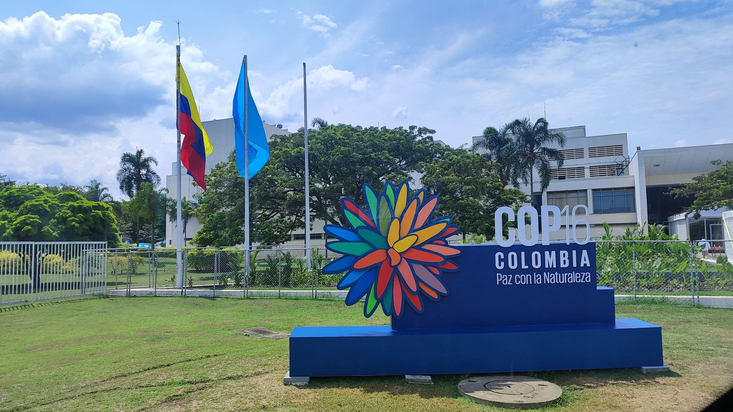 Organizaciones sociales están tejiendo propuestas en la COP 16 para enfrentar la crisis ambiental global