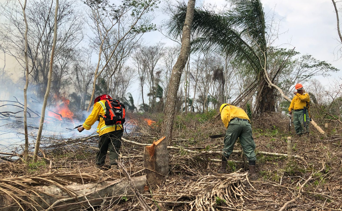 Bolivia registró por sexto año consecutivo incendios forestales graves