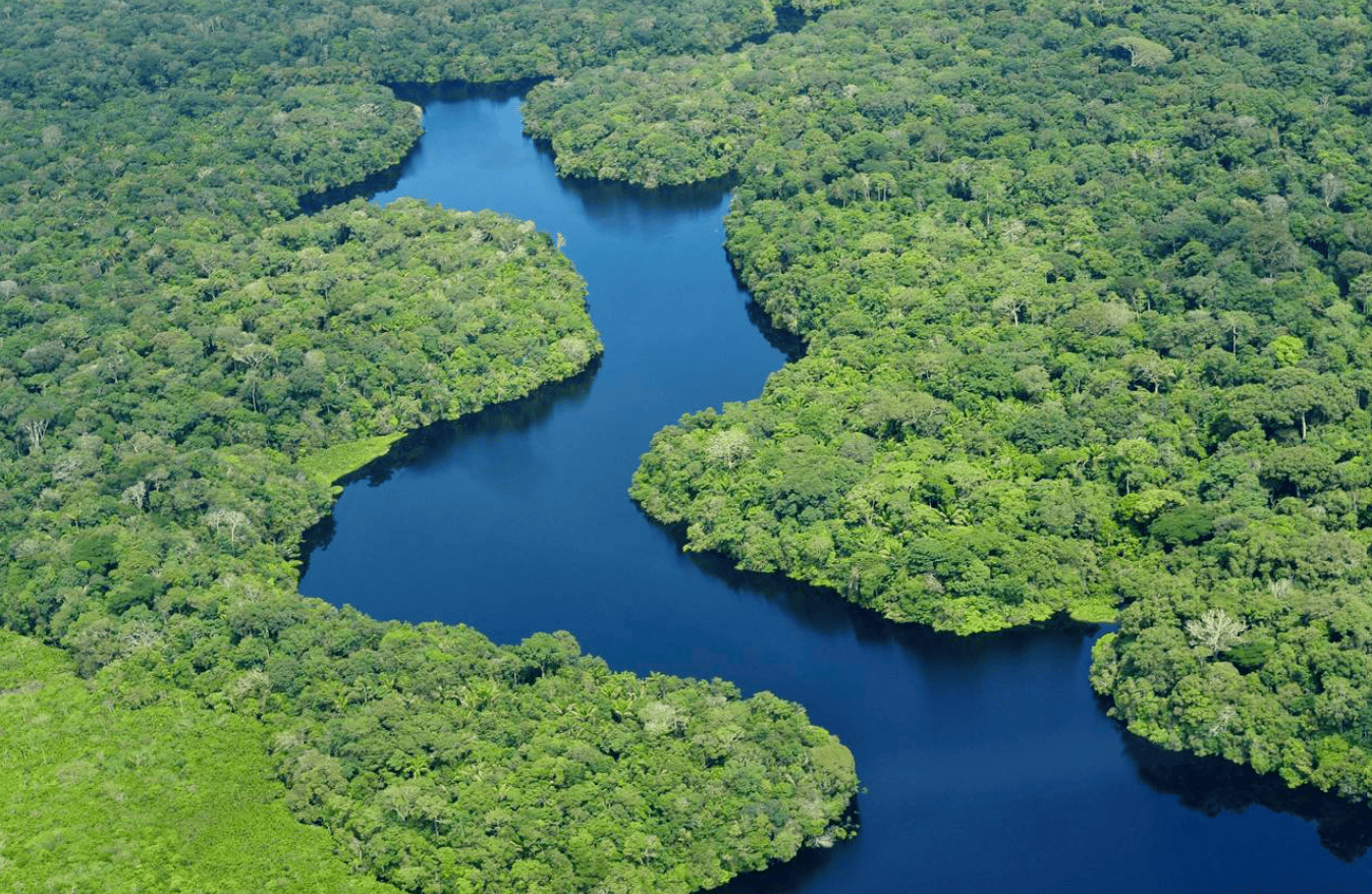 Voces de la Panamazonía 12-12-2024