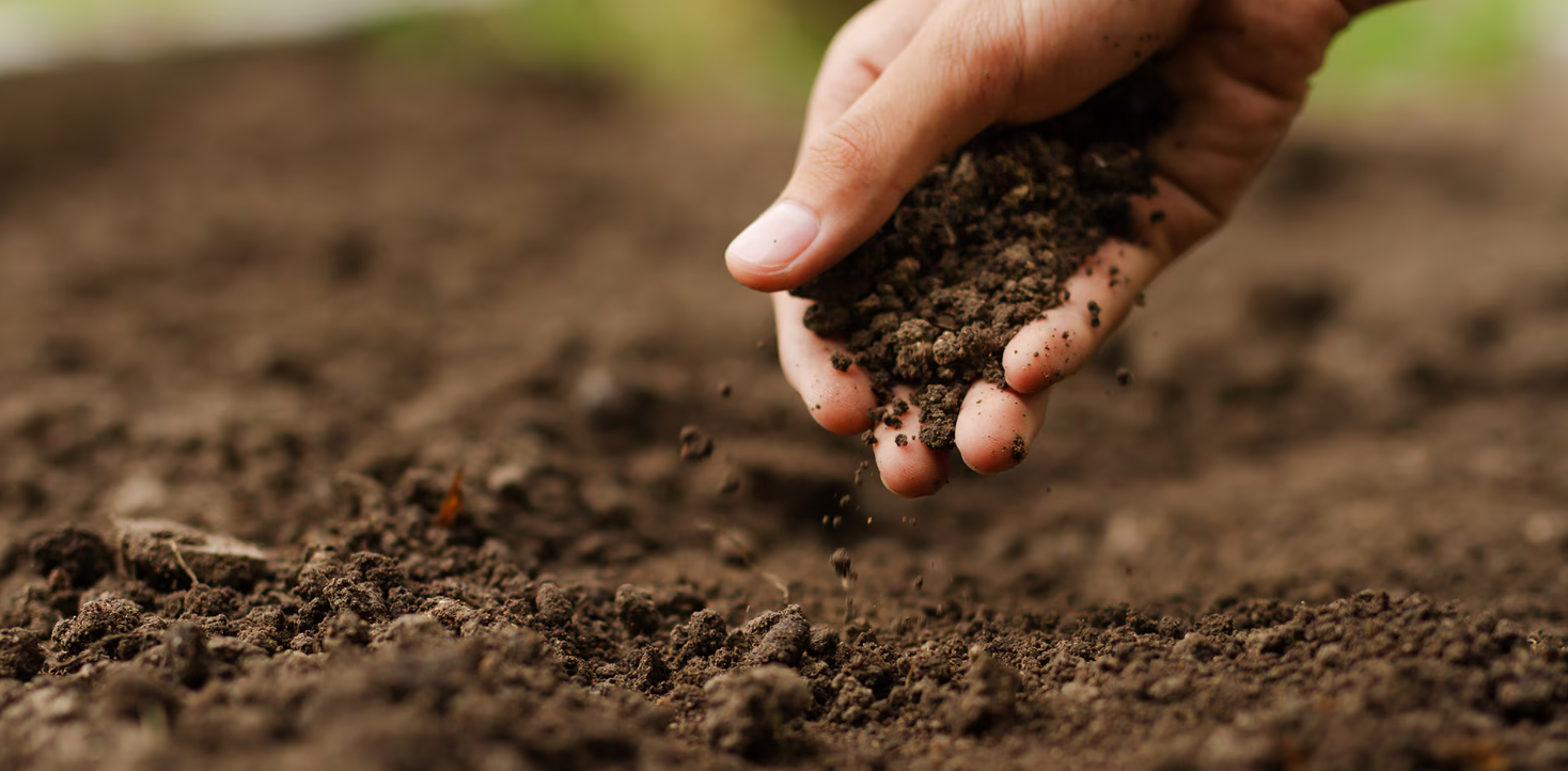 Agricultura sostenible: un camino para salvar los suelos en América Latina