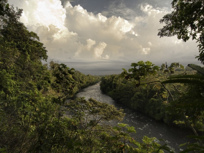 Voces de la Panamazonía 20-02-2025