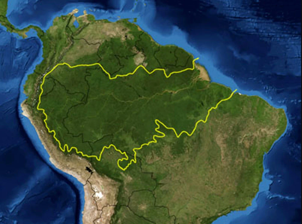 Voces de la Panamazonía 29-05-2025