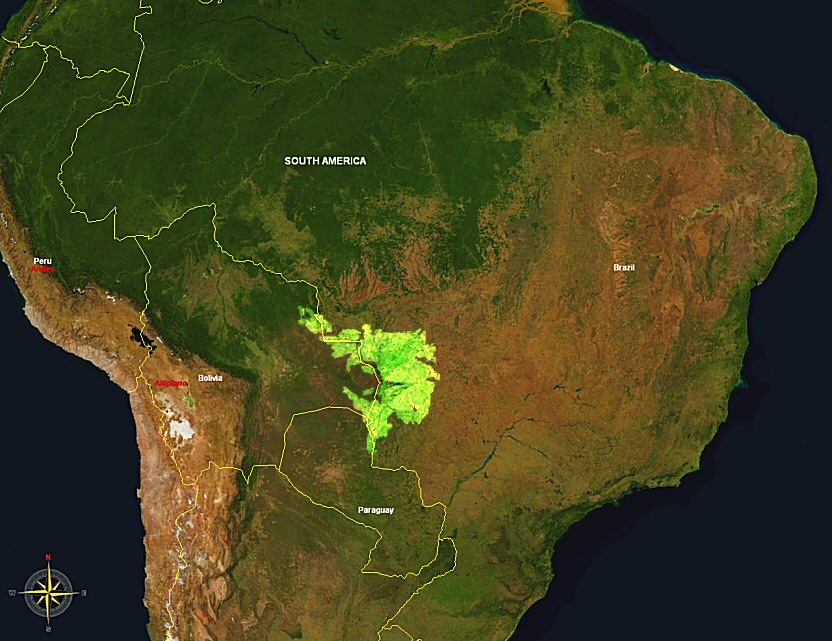 Continúa la amenaza al humedal biodiverso, el Pantanal