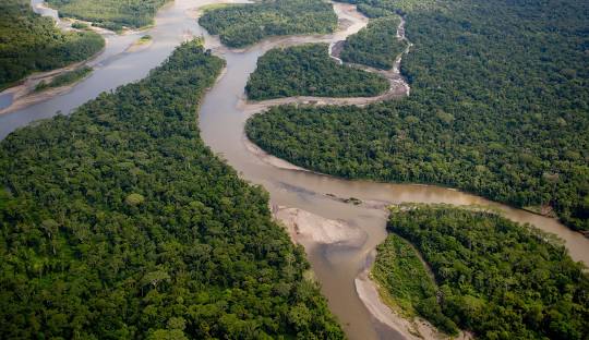Voces de la Panamazonía 08-05-2025