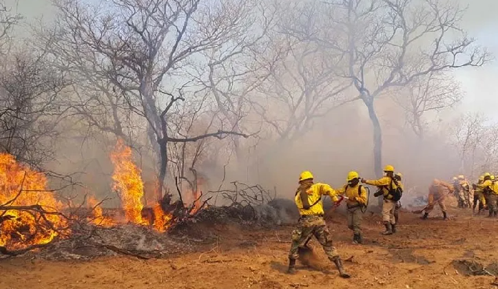 Incendios en Bolivia arrasan territorios indígenas y agudizan la crisis para mujeres y niñas en la Chiquitanía y Guarayos