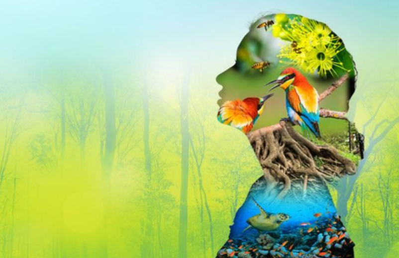 Venezuela debate su futuro ambiental: ¿extractivismo o diversidad biológica como motor de desarrollo?