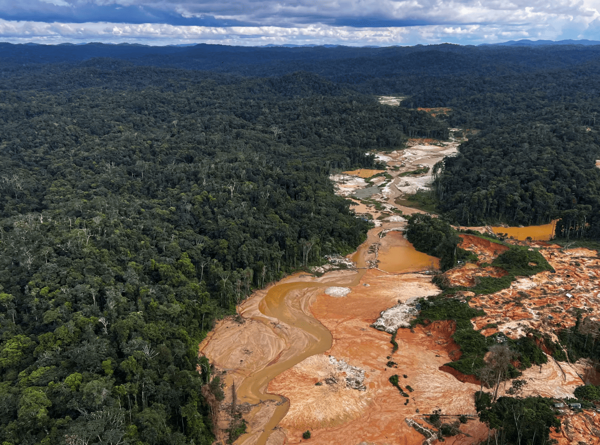 Voces de la Panamazonía 26-06-2025
