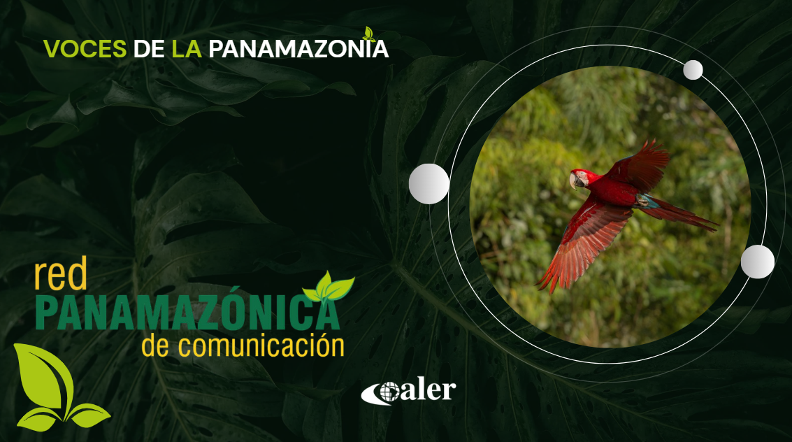 Voces de la panamazonía 14-08-2025