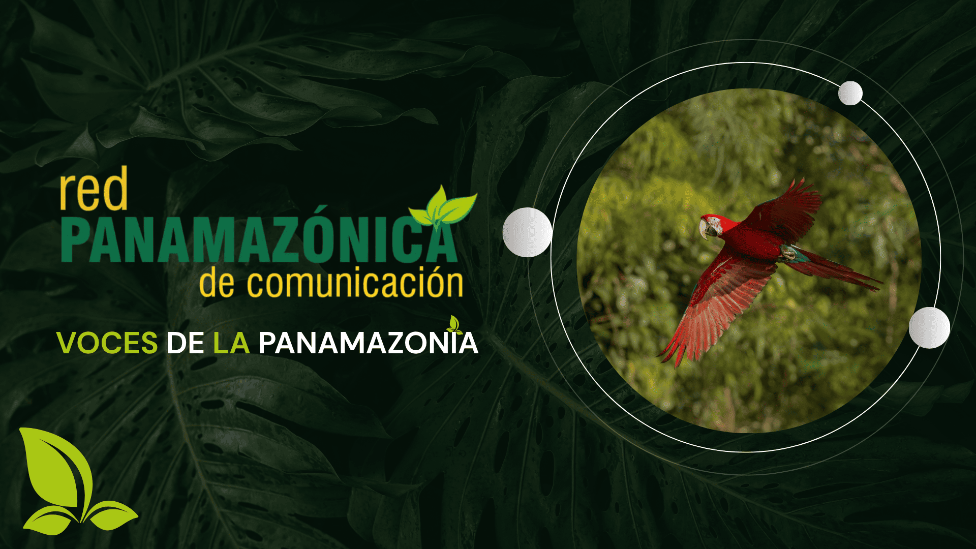 Voces de la Panamazonía 30-10-2025