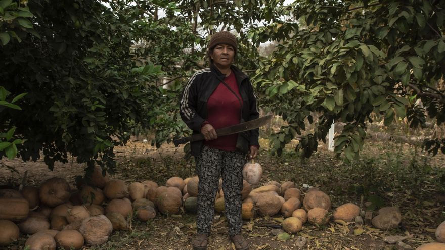 Guaraníes son los principales guardianes de la agrobiodiversidad del chaco boliviano