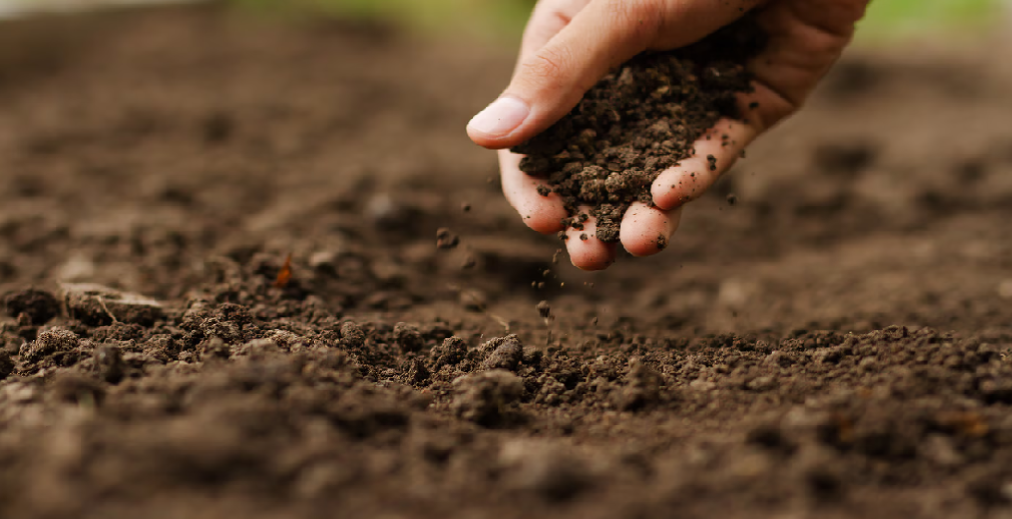 Agricultura sostenible: el equilibrio pendiente entre producción, territorio y vida