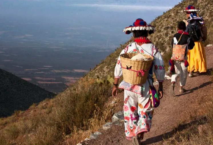 Latido Indígena 15-01-2026