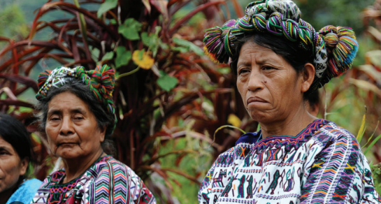 Latido Indígena 22-01-2026