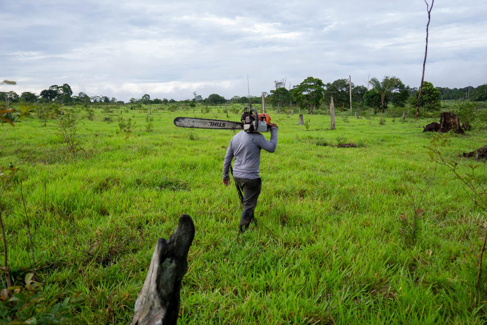 Voces de la Panamazónica  25 de febrero, 2026