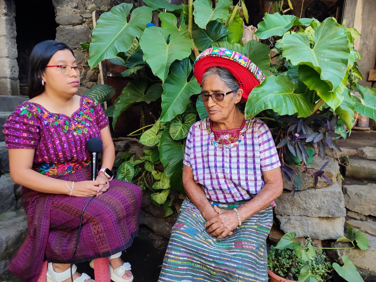 Latido Indígena 05/02/2025