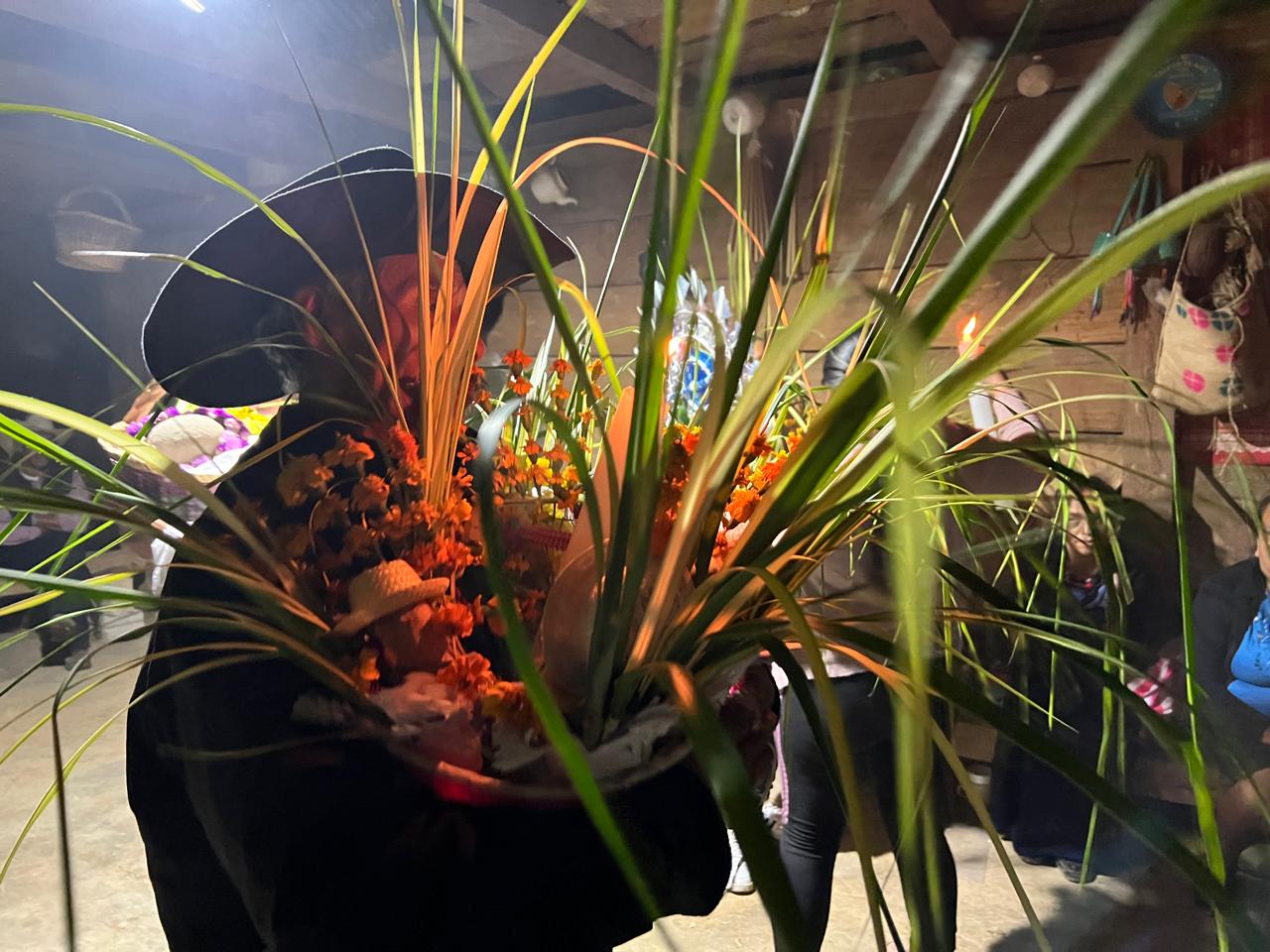 Latido Indígena 26 de marzo de 2026