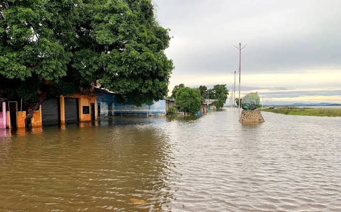 Voces de la Panamazonía