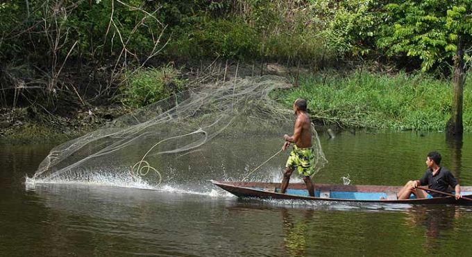 Voces de la Panamazonía – 26 Octubre 2017