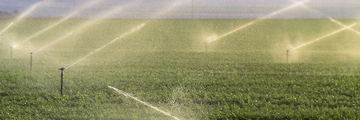 El futuro de la gestión del agua