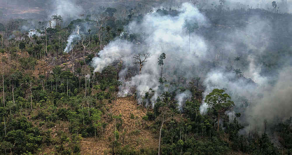 Voces de la Panamazonía – 24 octubre 2019