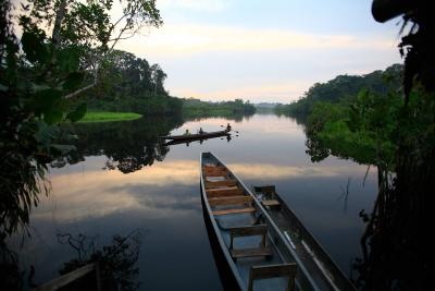 Voces de la Panamazonía – 14 Noviembre 2019