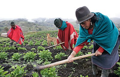 La agricultura familiar: un sector maltratado pero estratégico.