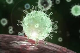 Coronavirus: La amenaza que desafía al mundo
