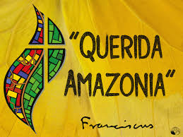 Las 20 propuestas imprescindibles de Querida Amazonía del papa Francisco