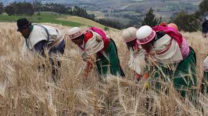 Agricultura familiar: incluso en pandemia las ciudades dependen del campo