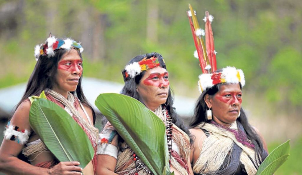 Voces de la Panamazonía – 23 julio 2020