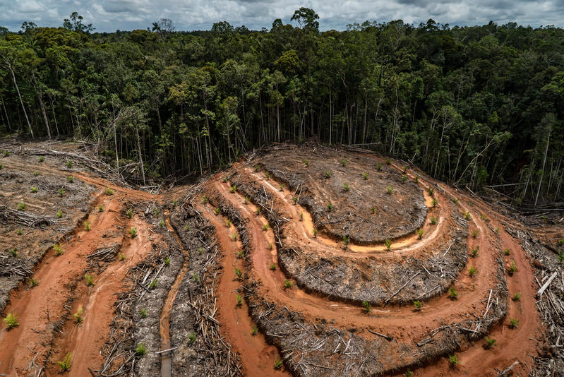 Voces de la Panamazonía – 20 agosto 2020