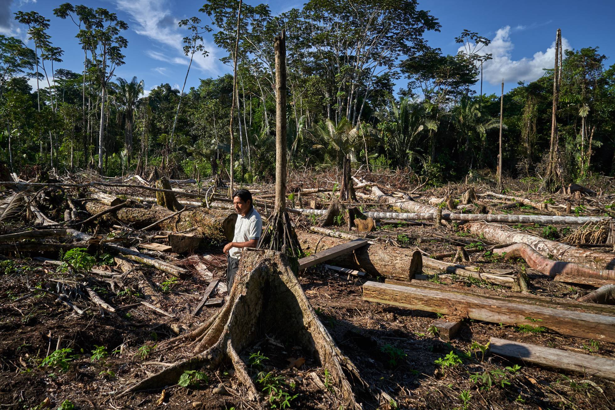 Voces de la Panamazonía – 19 noviembre 2020