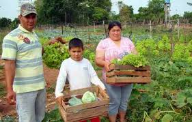 Región: Agricultura familiar y comunicación, alternativa para combatir la COVID-19