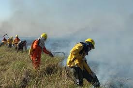 Bolivia: Alerta con incendios Santa Cruz