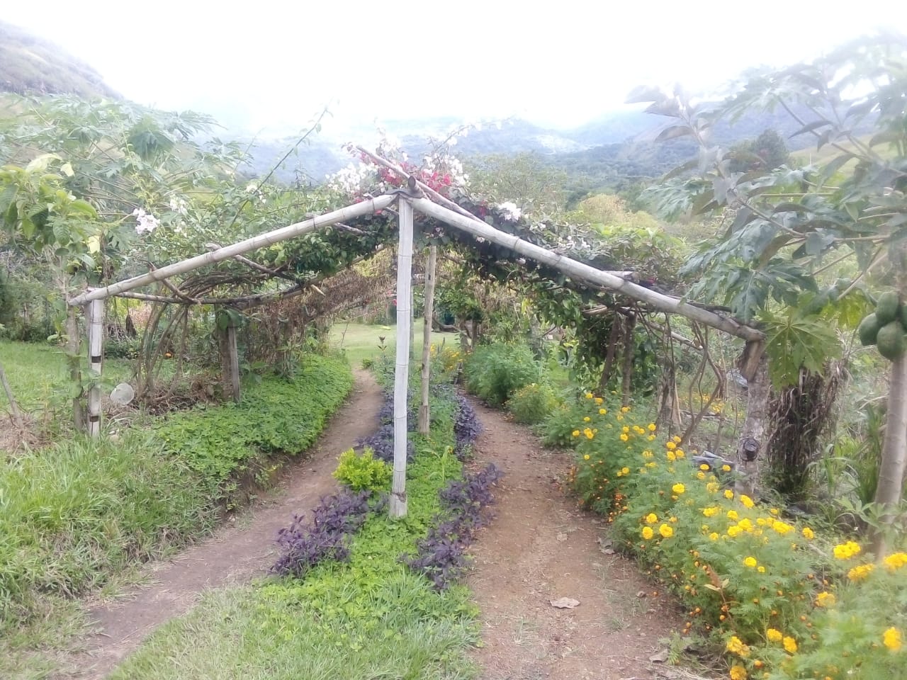 Colombia: Formación para el impulso rural