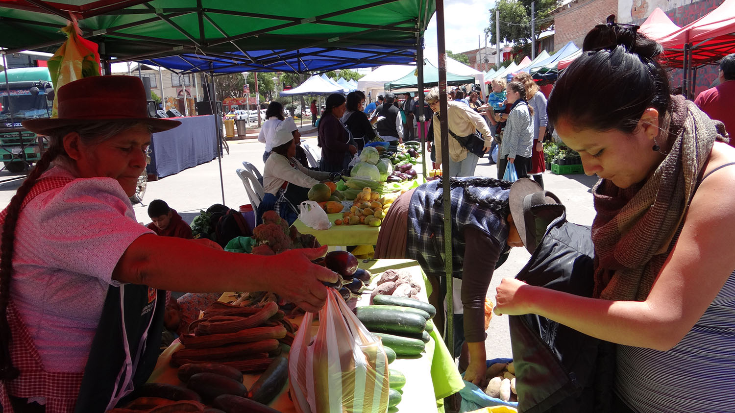 América Latina: Experiencias y desafíos de los sistemas agroalimentarios sostenibles