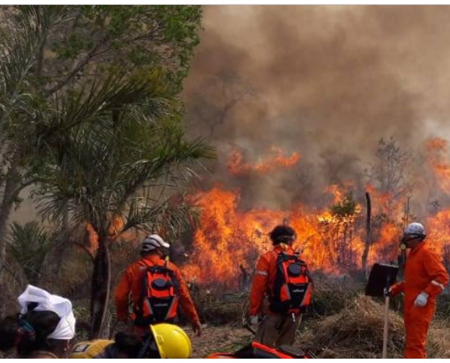 Bolivia: Alerta ante condiciones que anuncian riesgo de incendios forestales