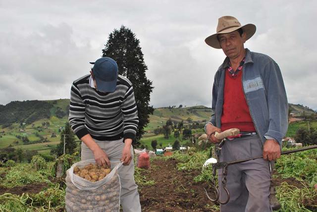 Colombia: las dificultades del campesinado para promover la agricultura familiar