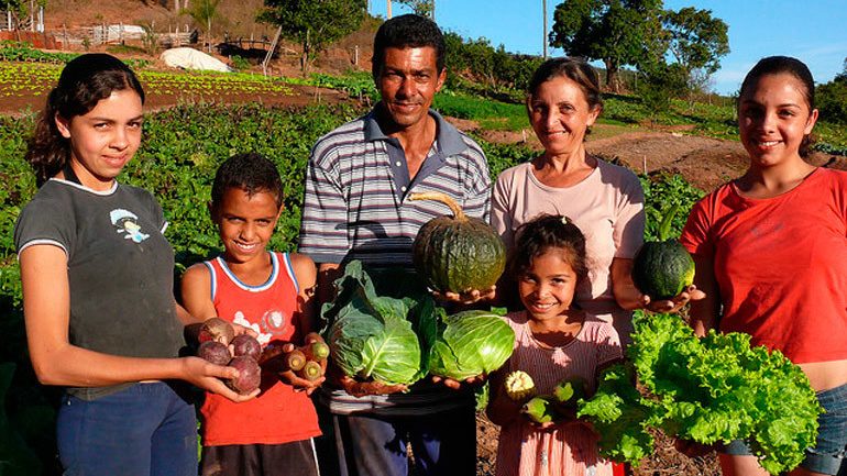 Paraguay: la experiencia de sostener la agricultura familiar bajo el principio de la economía solidaria